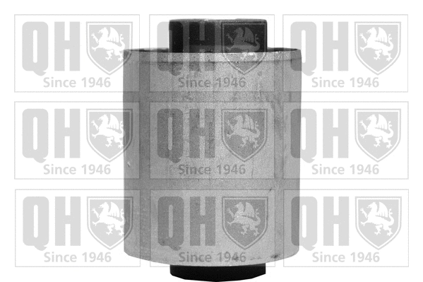 Mounting, control/trailing arm (EMS8137)