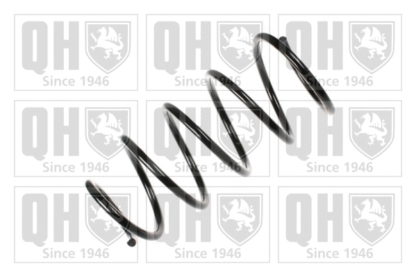 Suspension Spring (QCS5310)