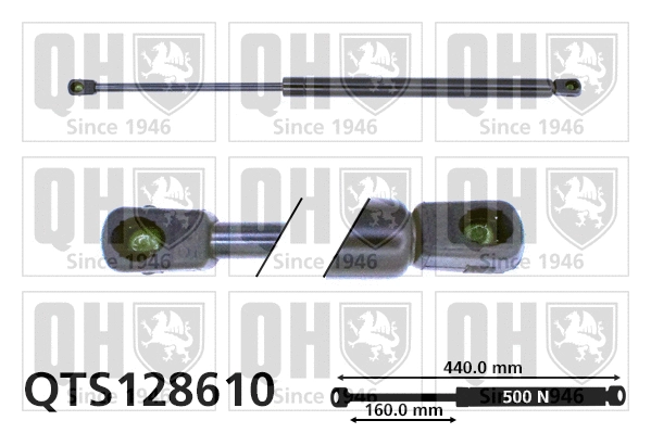 Gas Spring, boot/cargo area (QTS128610)
