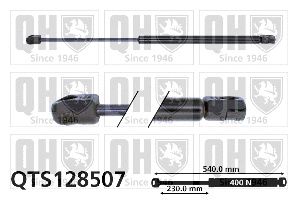 Gas Spring, boot/cargo area (QTS128507)