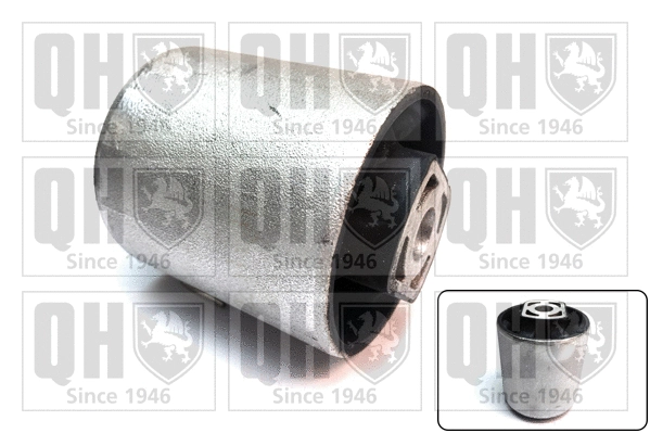 Mounting, control/trailing arm (EMS8656)