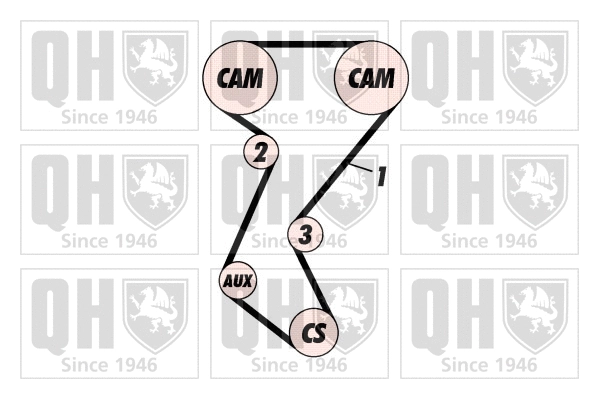 Timing Belt Kit (QBK114)