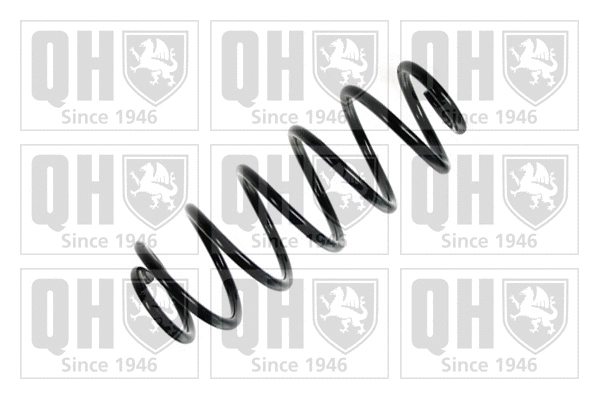 Suspension Spring (QCS6074)