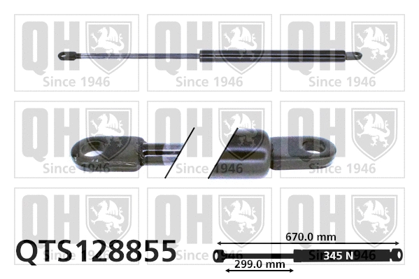 Gas Spring, boot/cargo area (QTS128855)
