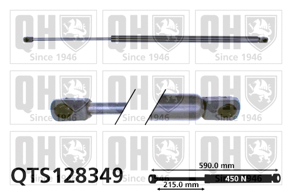 Gas Spring, boot/cargo area (QTS128349)