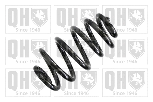 Suspension Spring (QCS5934)