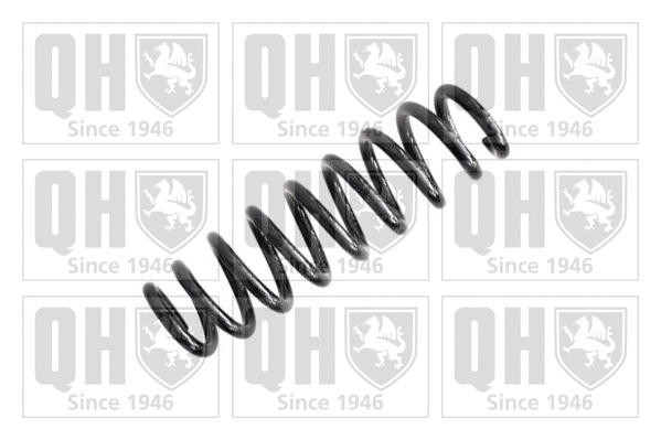 Suspension Spring (QCS7944)