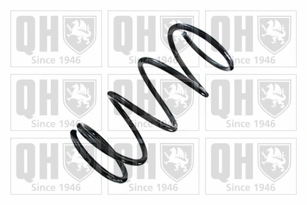 Suspension Spring (QCS8795)