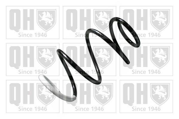 Suspension Spring (QCS8552)