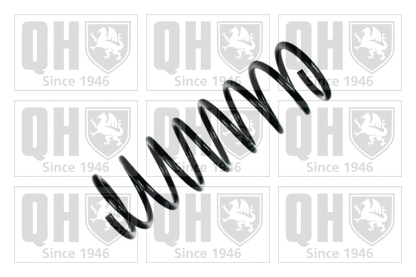 Suspension Spring (QCS5394)