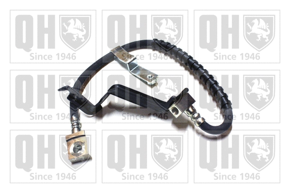 Brake Hose (BFH4981)