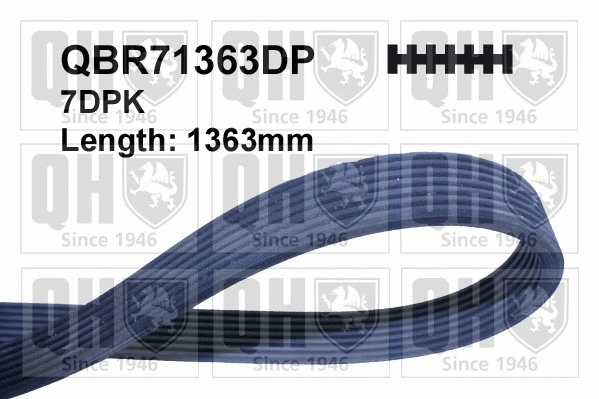 V-Ribbed Belt (QBR71363DP)