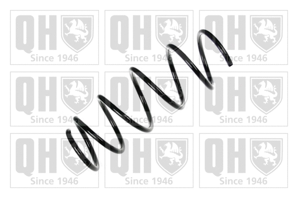 Suspension Spring (QCS5877)