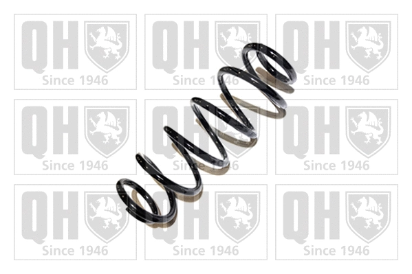 Suspension Spring (QCS7704)