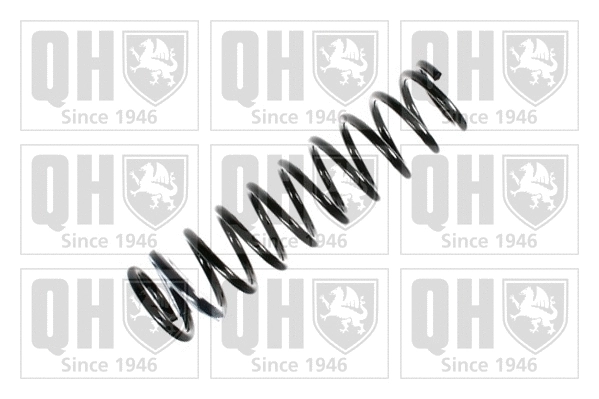 Suspension Spring (QCS8245)