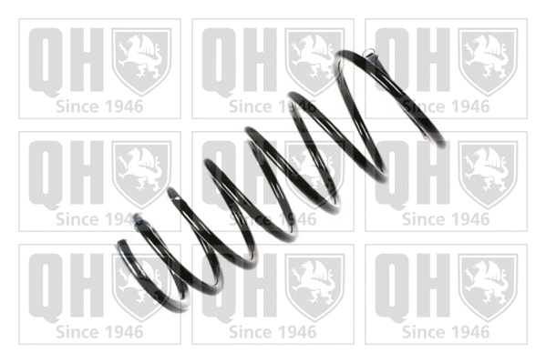 Suspension Spring (QCS5863)