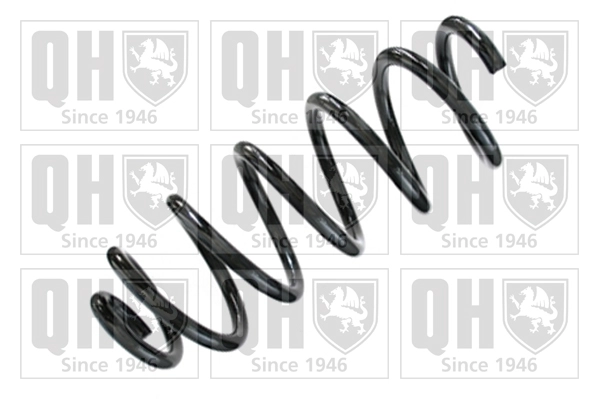 Suspension Spring (QCS8384)