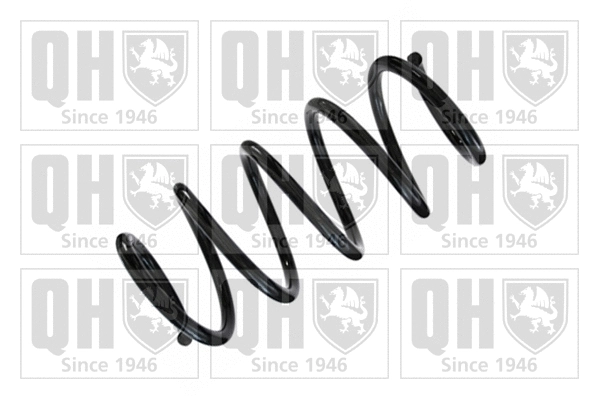 Suspension Spring (QCS5598)