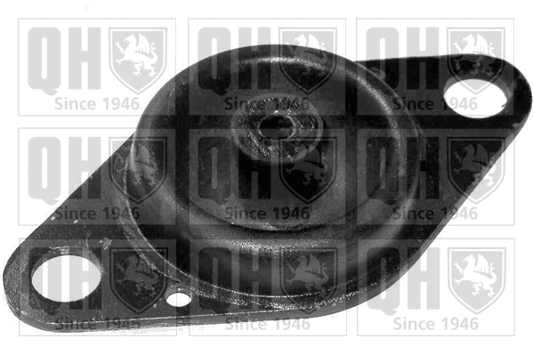 Mounting, engine (EM3087)