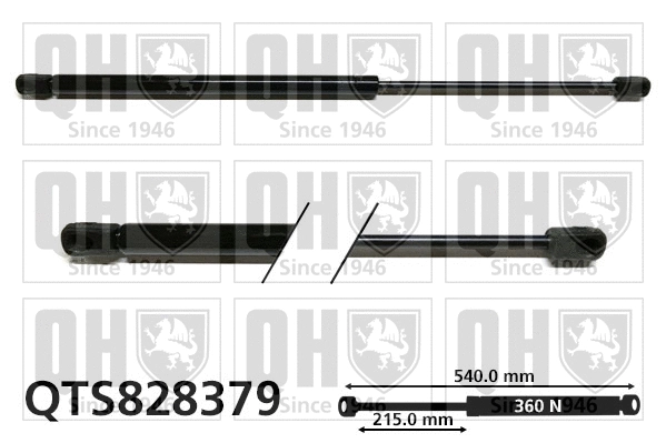 Gas Spring, rear window (QTS828379)