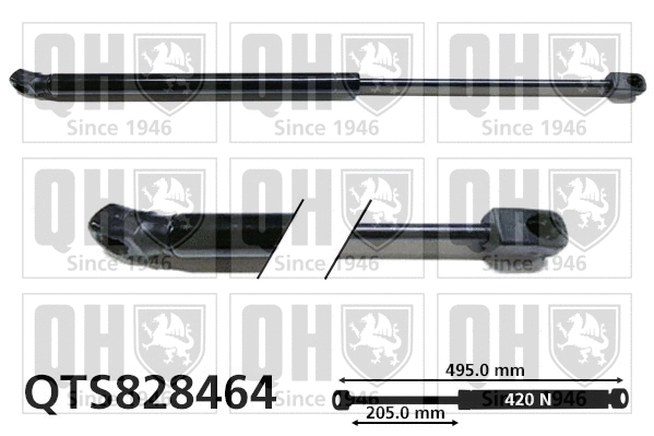 Gas Spring, boot/cargo area (QTS828464)