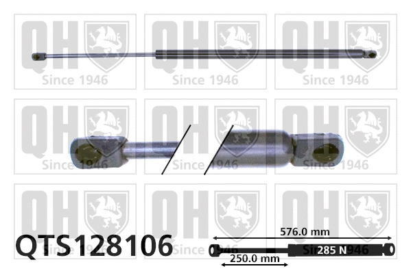 Gas Spring, boot/cargo area (QTS128106)