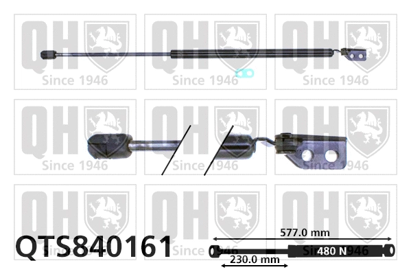 Gas Spring, boot/cargo area (QTS840161)