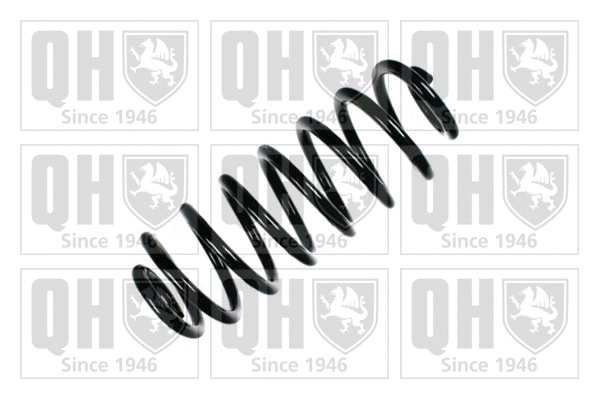 Suspension Spring (QCS5442)