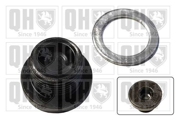 Screw Plug, oil sump (QOC1059)