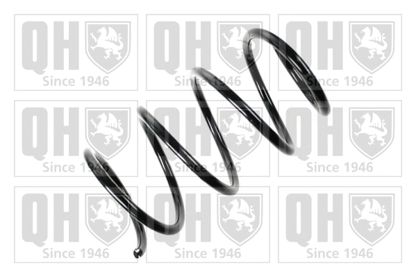 Suspension Spring (QCS7980)