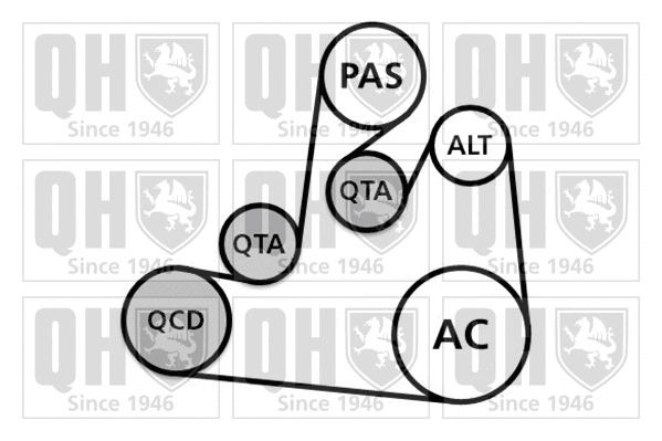 V-Ribbed Belt Set (QDK106)