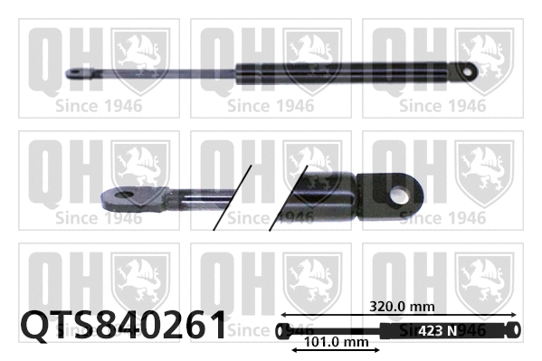 Gas Spring, bonnet (QTS840261)