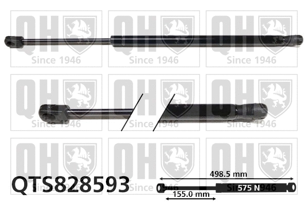 Gas Spring, boot/cargo area (QTS828593)