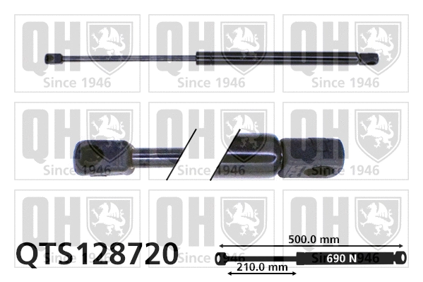 Gas Spring, boot/cargo area (QTS128720)