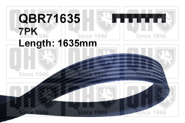 V-Ribbed Belt (QBR71635)