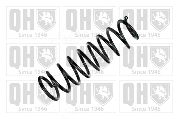 Suspension Spring (QCS6933)