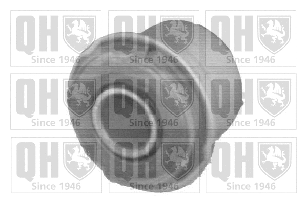 Mounting, control/trailing arm (EMS8168)