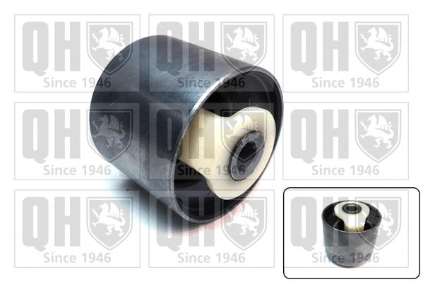 Mounting, control/trailing arm (EMS8628)