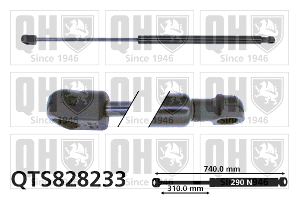 Gas Spring, bonnet (QTS828233)