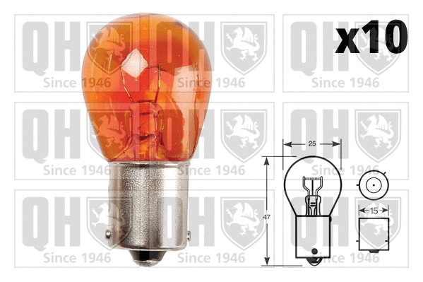 Bulb (QBL581)