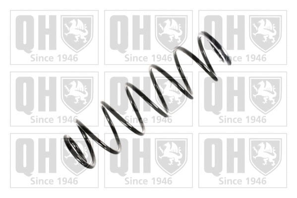 Suspension Spring (QCS6562)