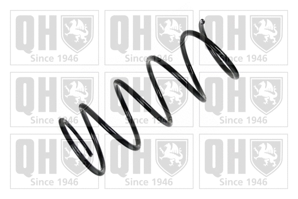 Suspension Spring (QCS6555)