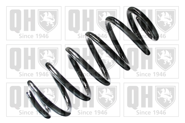 Suspension Spring (QCS8356)
