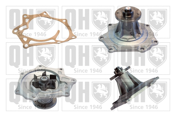 Water Pump, engine cooling (QCP3332)