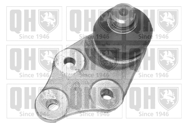 Ball Joint (QSJ1019S)