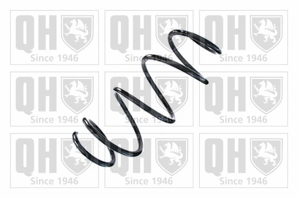 Suspension Spring (QCS8703)