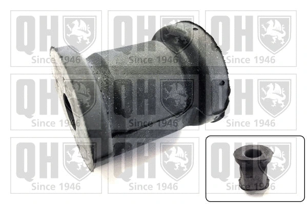 Mounting, control/trailing arm (EMS2094)