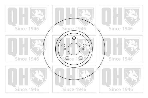 Brake Disc (BDC4920)