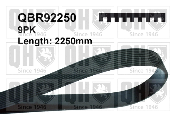 V-Ribbed Belt (QBR92250)