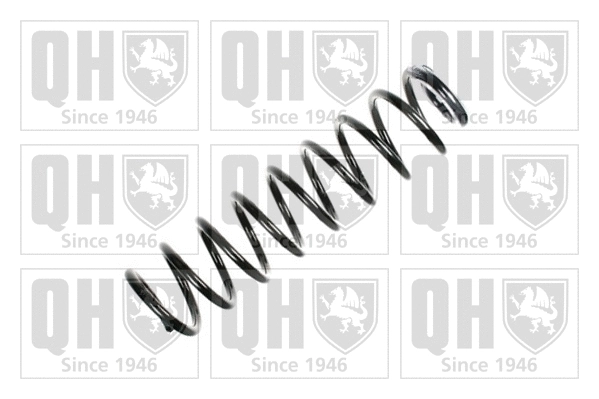 Suspension Spring (QCS7893)